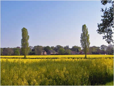 Barton Fields