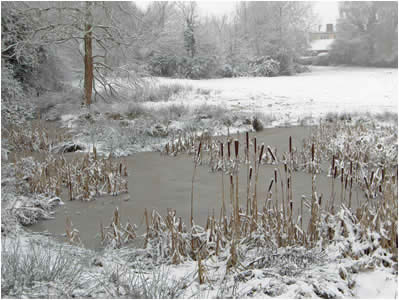 Village Green with snow