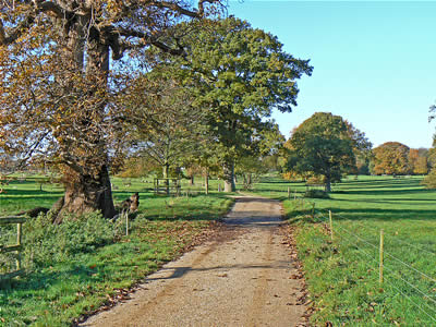 Blickling Country Park