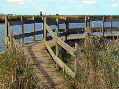 Bridge to River Path