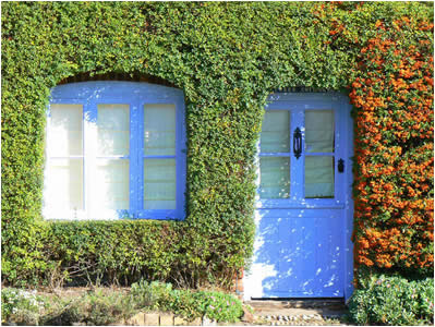 Cottage Door