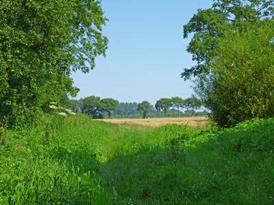 Countryside Views