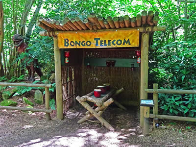 Bongo Telecom