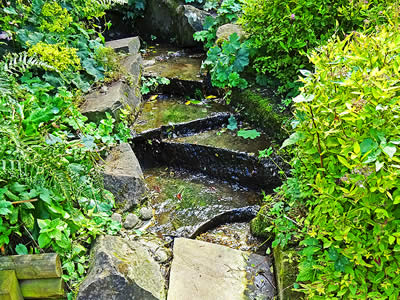 Waterside Garden Stream