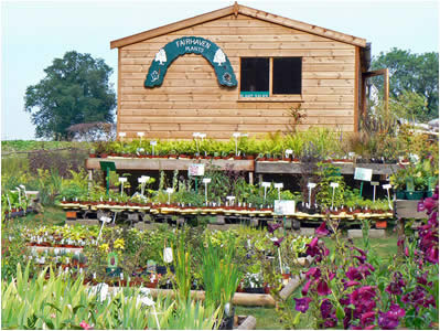 Plant Sales