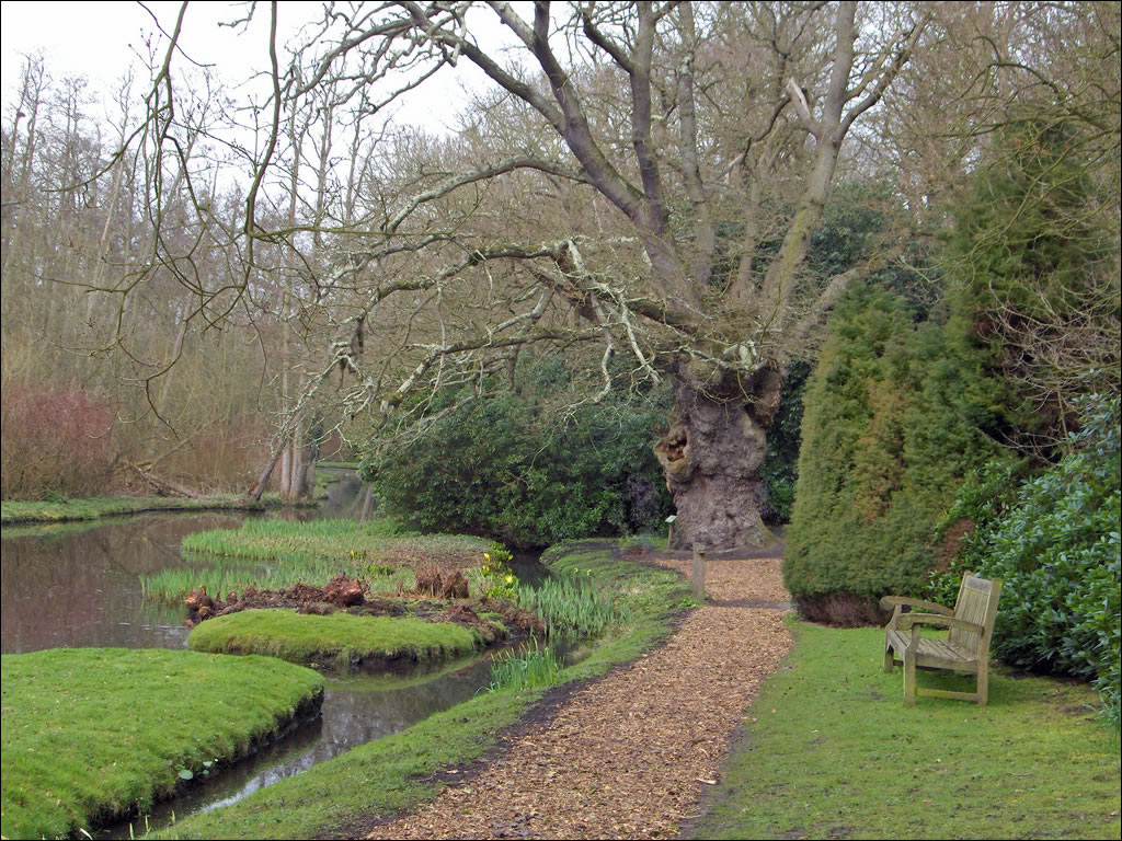 Fairhaven Woodland and Water Gardens, Norfolk Broads