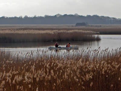 Observation View