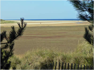 Holkham Bay