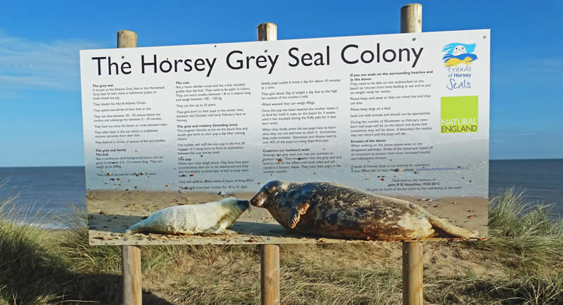 Horsey Seal Sign