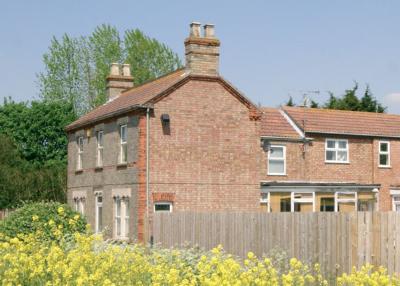 The Willows