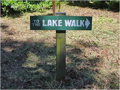 Lake Walk