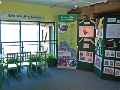 Bird Watching Gallery