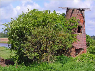 Mill Ruin