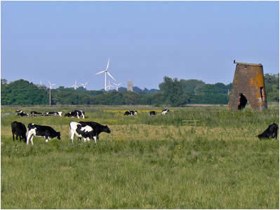 Wind Farm View