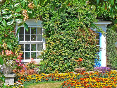 Mundesley Cottage Garden