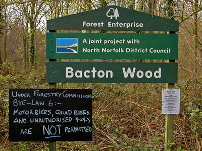 Bacton Wood