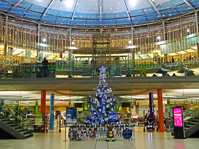 Norwich Forum Christmas Tree