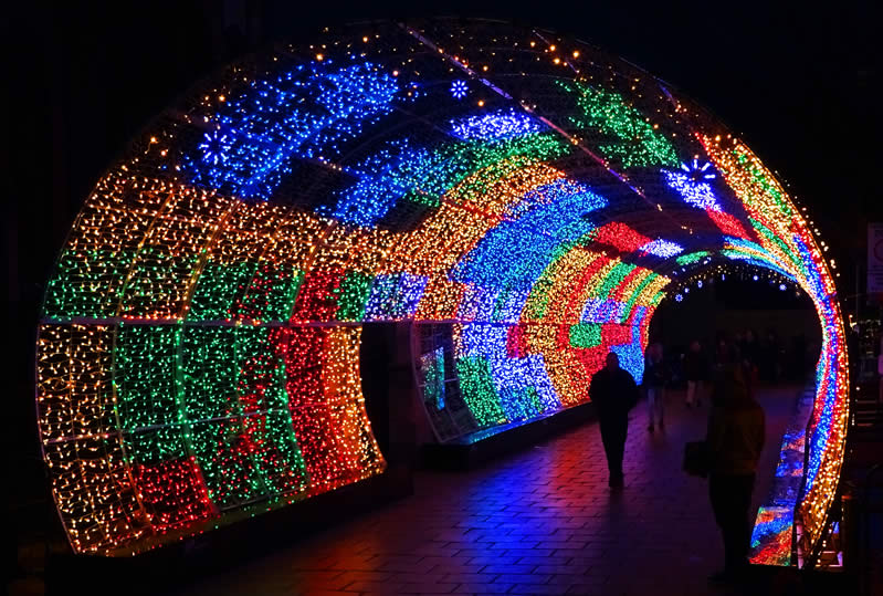 Christmas Light Tunnel
