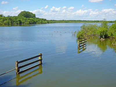 Nature Reserve