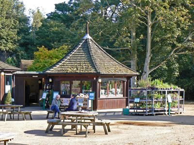 Shop and Picnic Area
