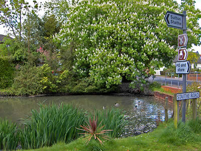 Sutton Village Pond