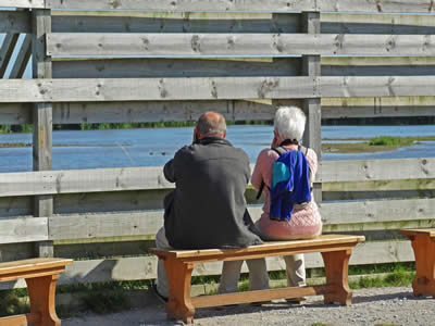 Viewing Benches
