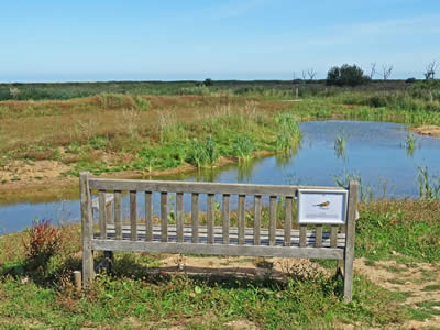 Reedbed Seat