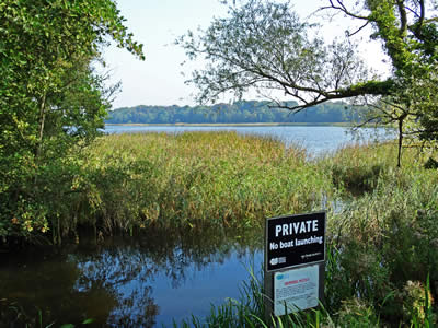 Little Ormesby Broad