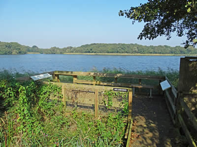 Little Ormesby Broad