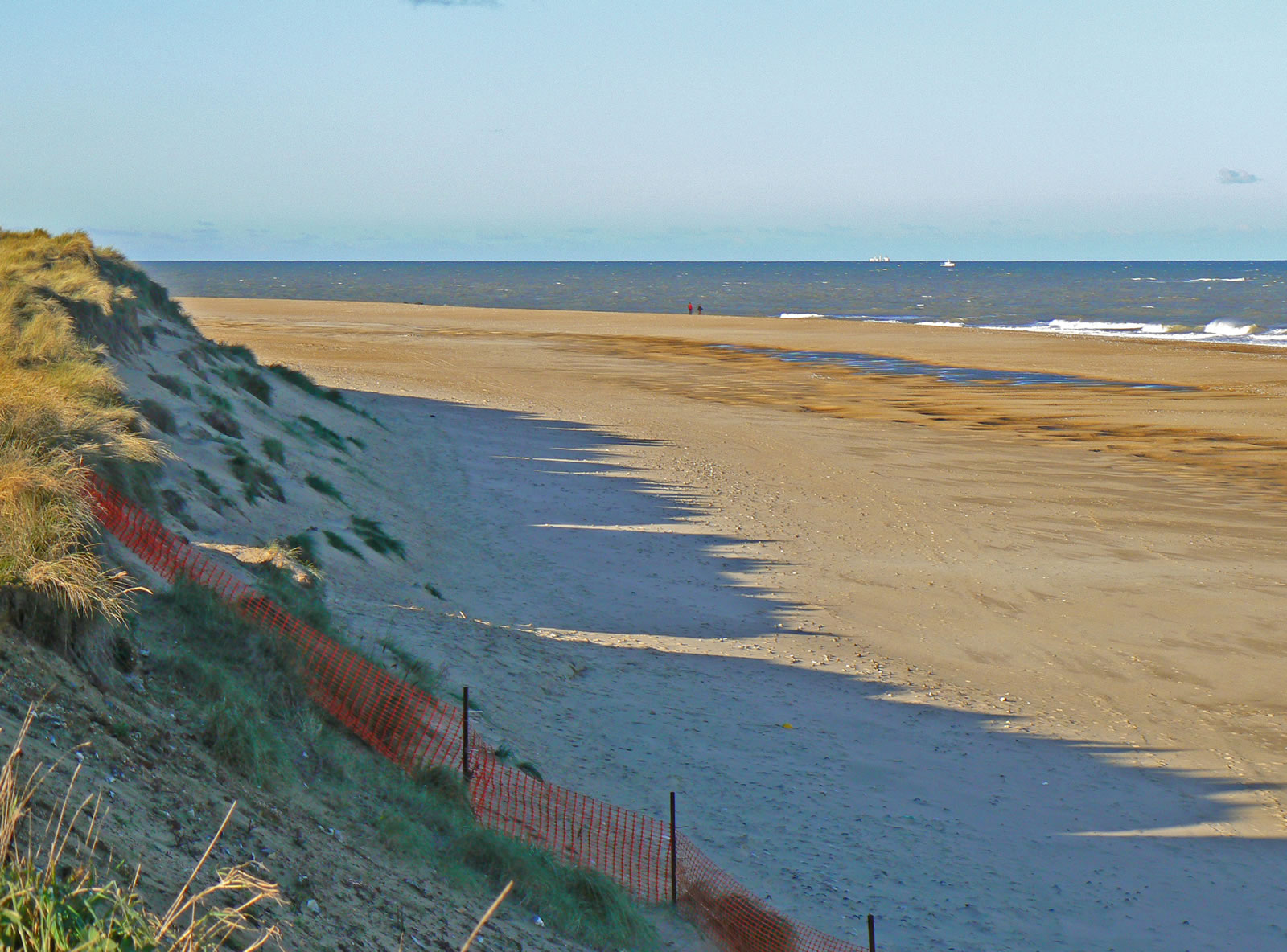 300 Multiple Choices