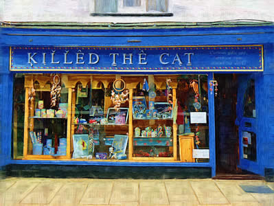 Killed The Cat